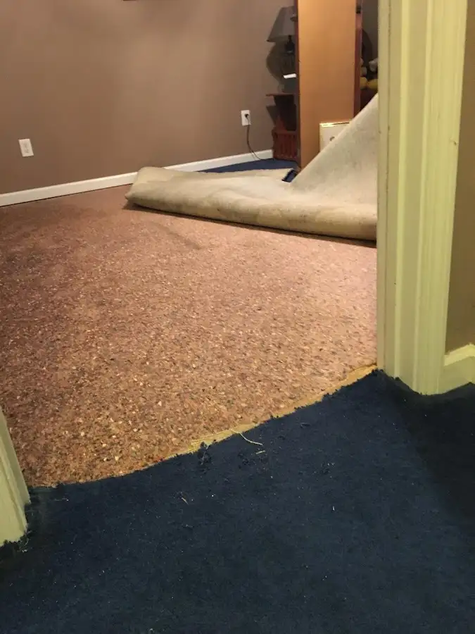 Carpet pad removal revealing water damage during Water Mitigation Services in Woodcrest